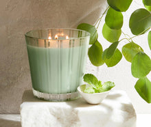 Load image into Gallery viewer, Nest Wild Mint &amp; Eucalyptus 3-Wick Candle